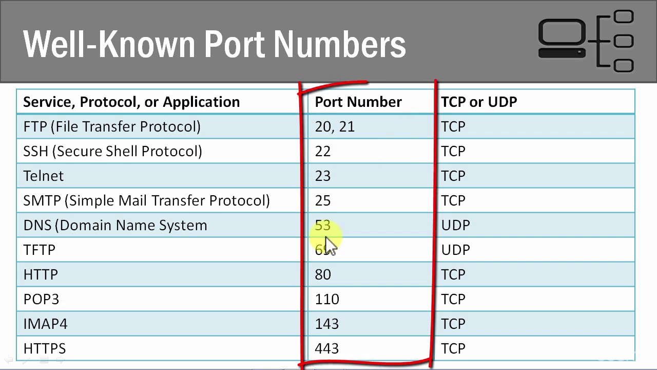 Can i use tcp on my dog