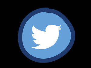 There Is a New Premium Paid Version Called Twitter Blue
