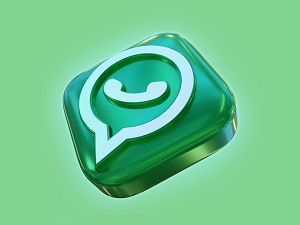 WhatsApp and Python Serious Security Flaw