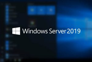 Windows Server 2019 Is Encountering DNS Issues