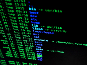 Cybersecurity Must Be a Prime Concern for Every Business Owner