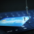How to Shield Your Business from Callback Phishing